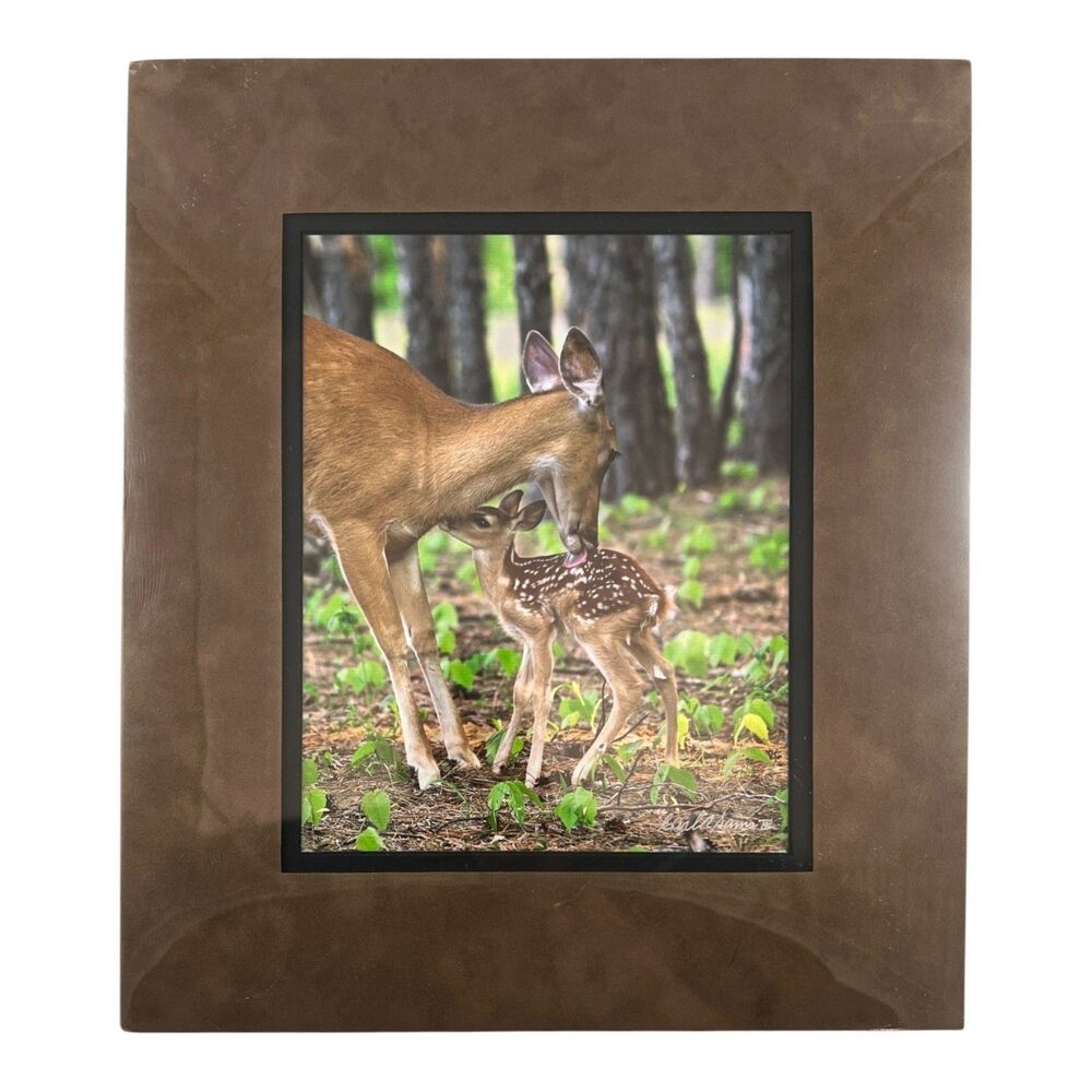 Stranger In The Woods Mama Returns 8x10 Matted Print